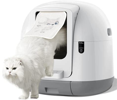 best electric self cleaning litter box|best affordable automatic litter box.